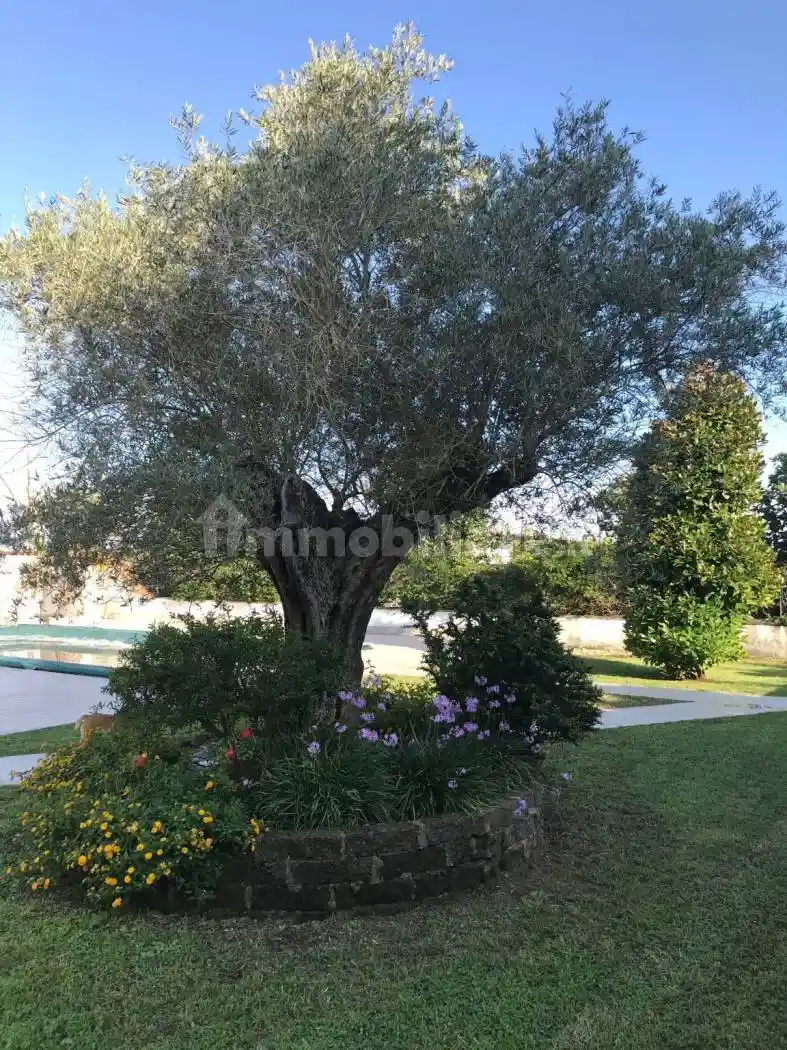 Villa in affitto a Terracina