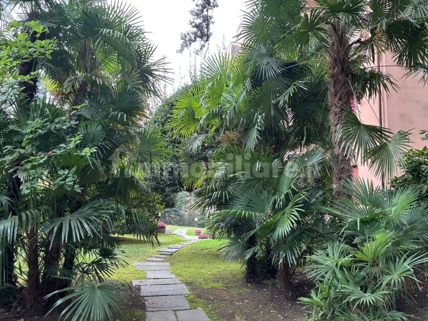 Appartamento in affitto a Cernobbio