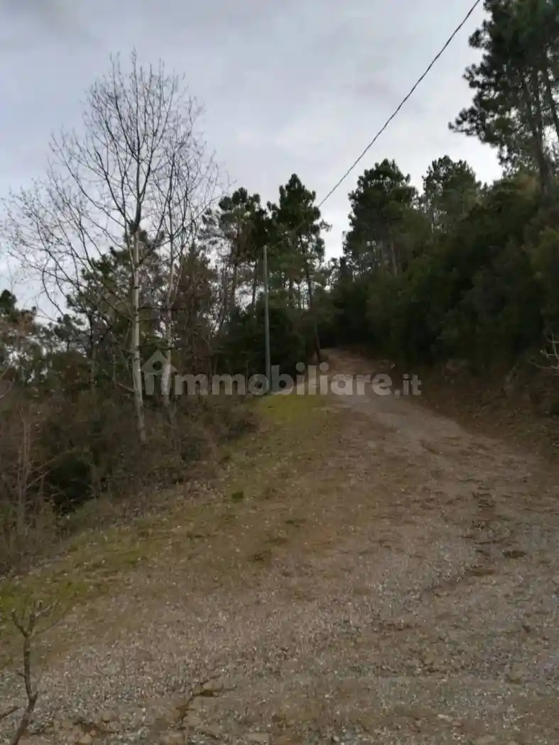 Villa in vendita a Dolceacqua