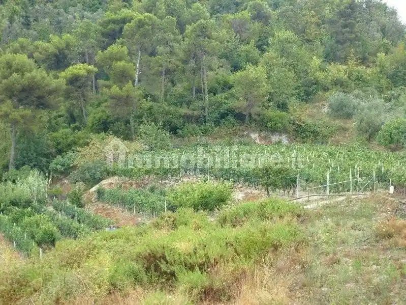 Villa in vendita a Vallecrosia