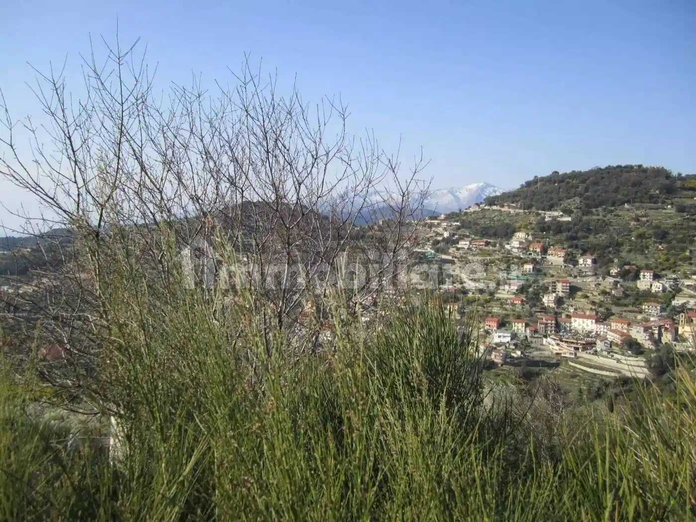 Casa indipendente in vendita a Vallebona