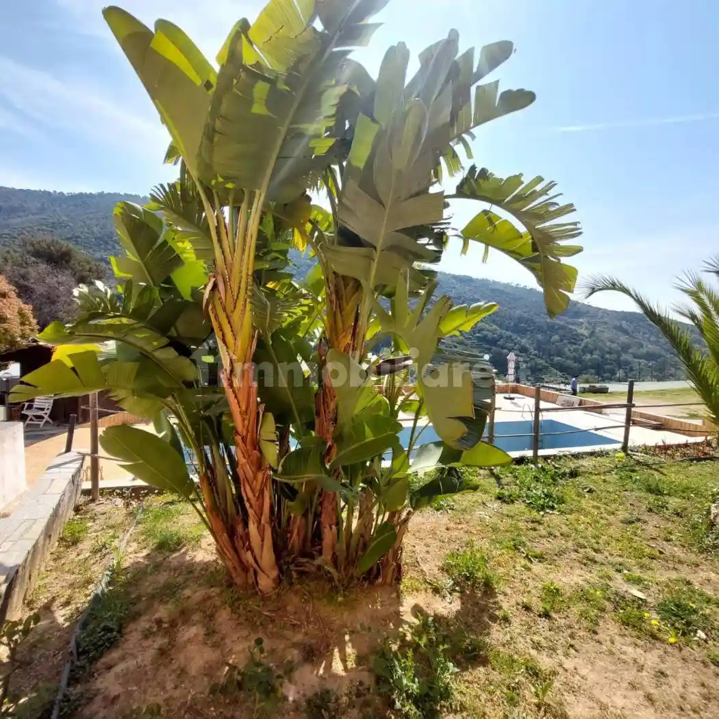 Villa in vendita a Vallebona