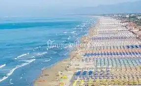 Appartamento in affitto a Viareggio