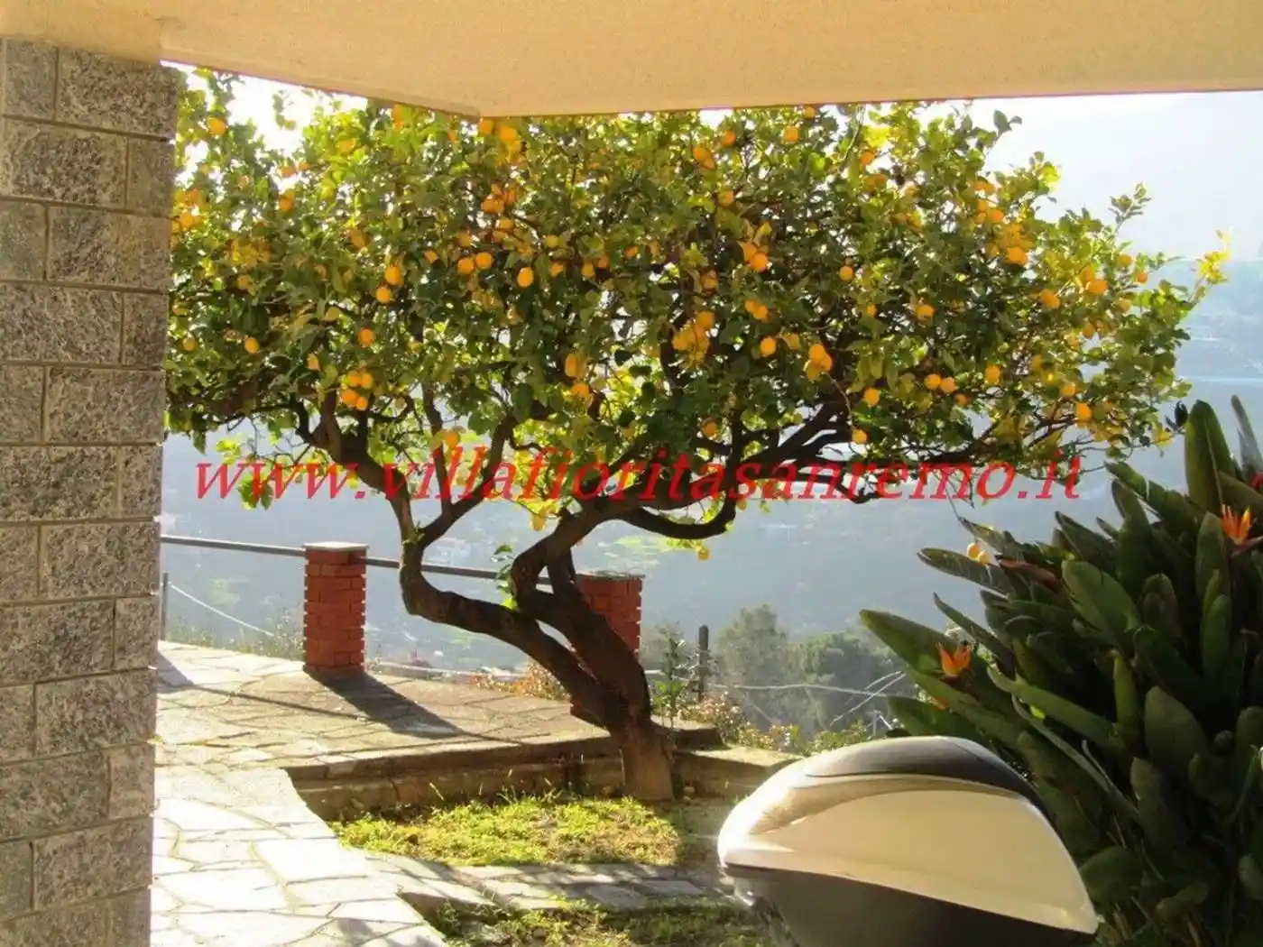 Villa in vendita a Sanremo