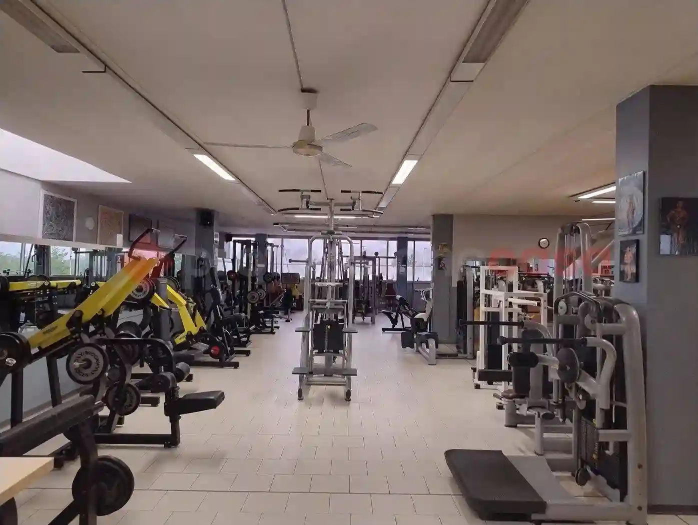 Palazzo - Edificio - foto 4