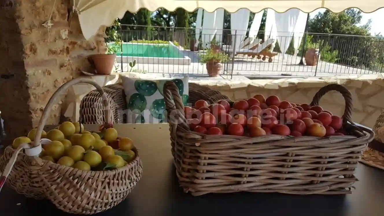 Rustico - Casale - foto 4