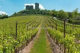 Casa indipendente in vendita a Illasi