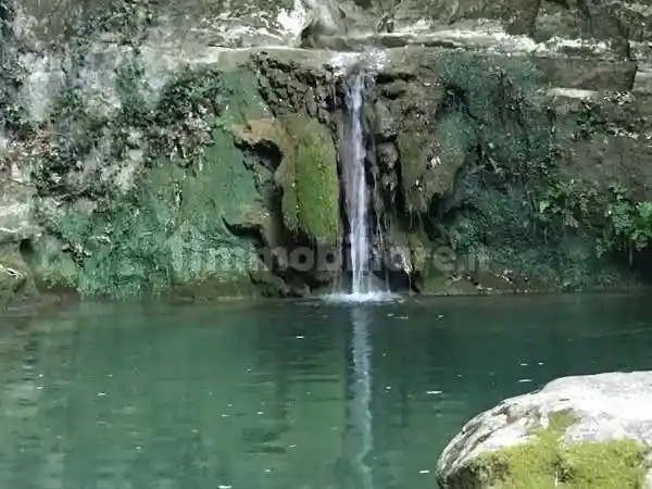 Rustico - Casale in vendita a Roccastrada