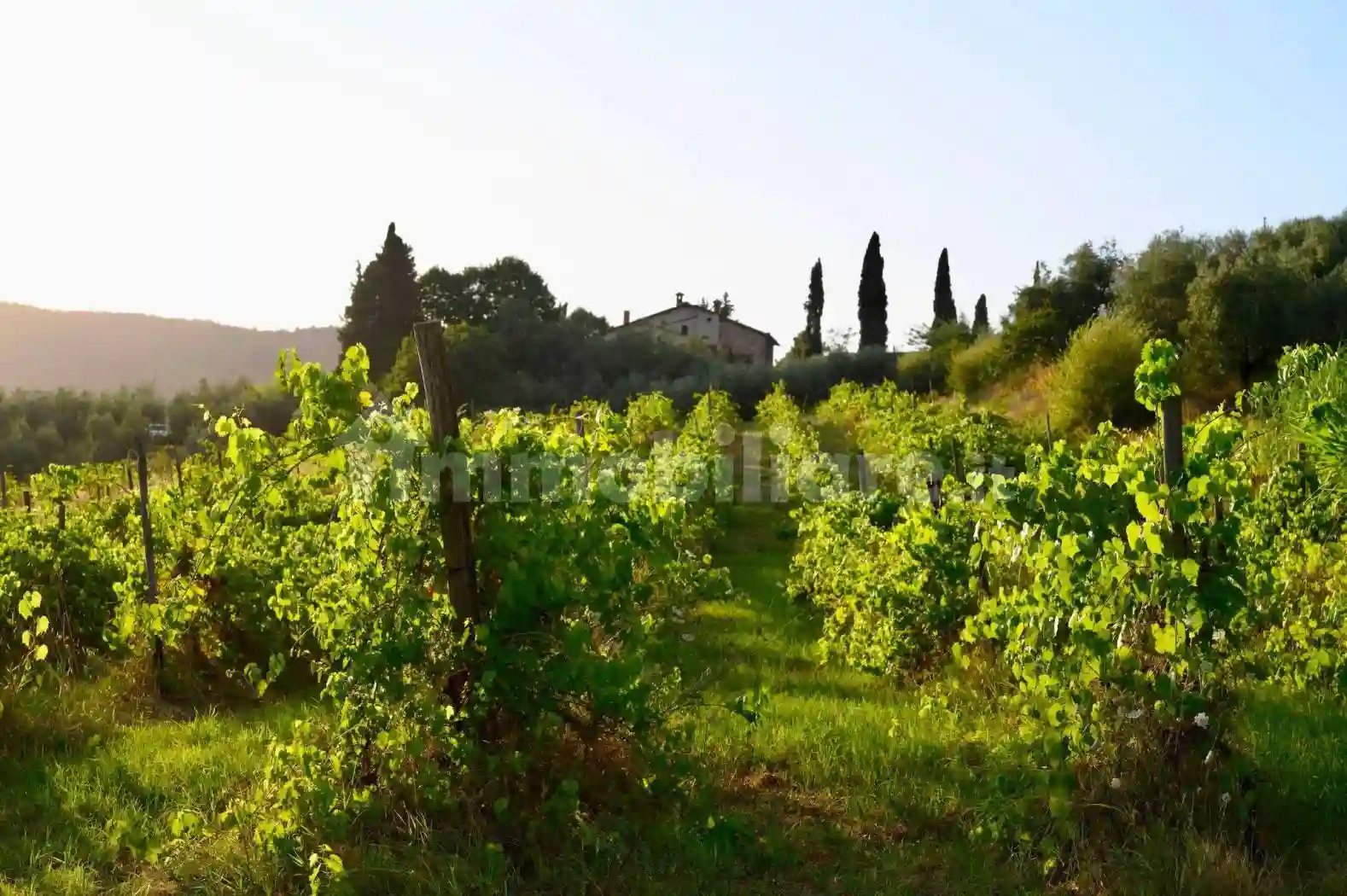 Rustico - Casale - foto 5