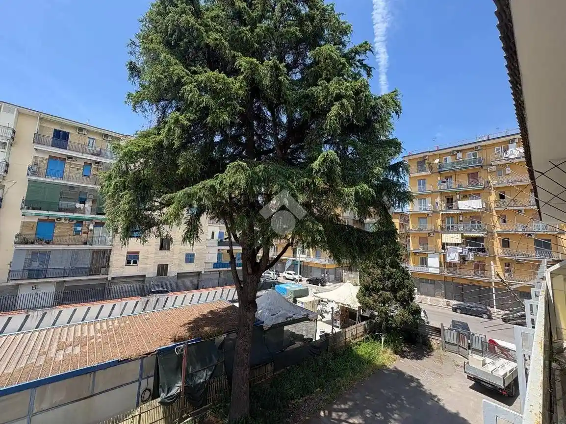 Appartamento in affitto a Arzano