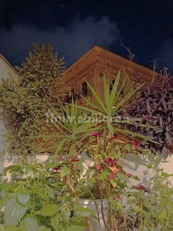 Attico - Mansarda in vendita a Palermo