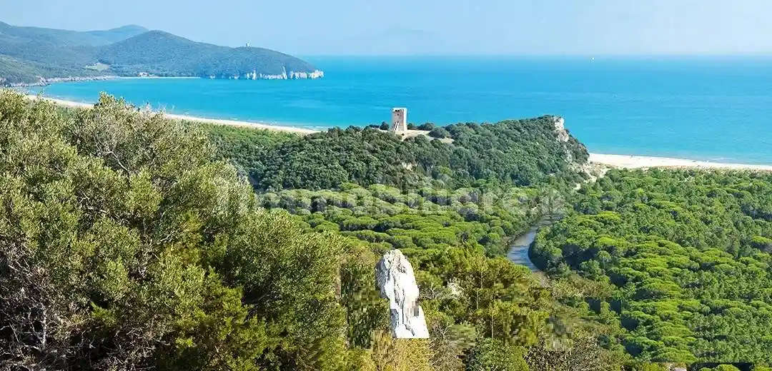 Villa in vendita a Grosseto