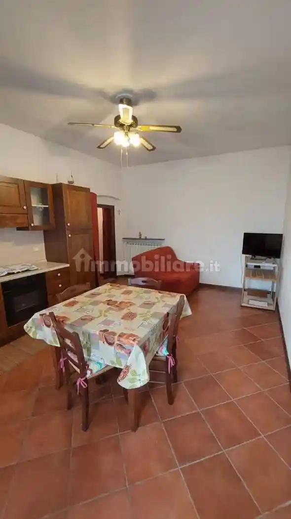 Appartamento in affitto a Carmignano