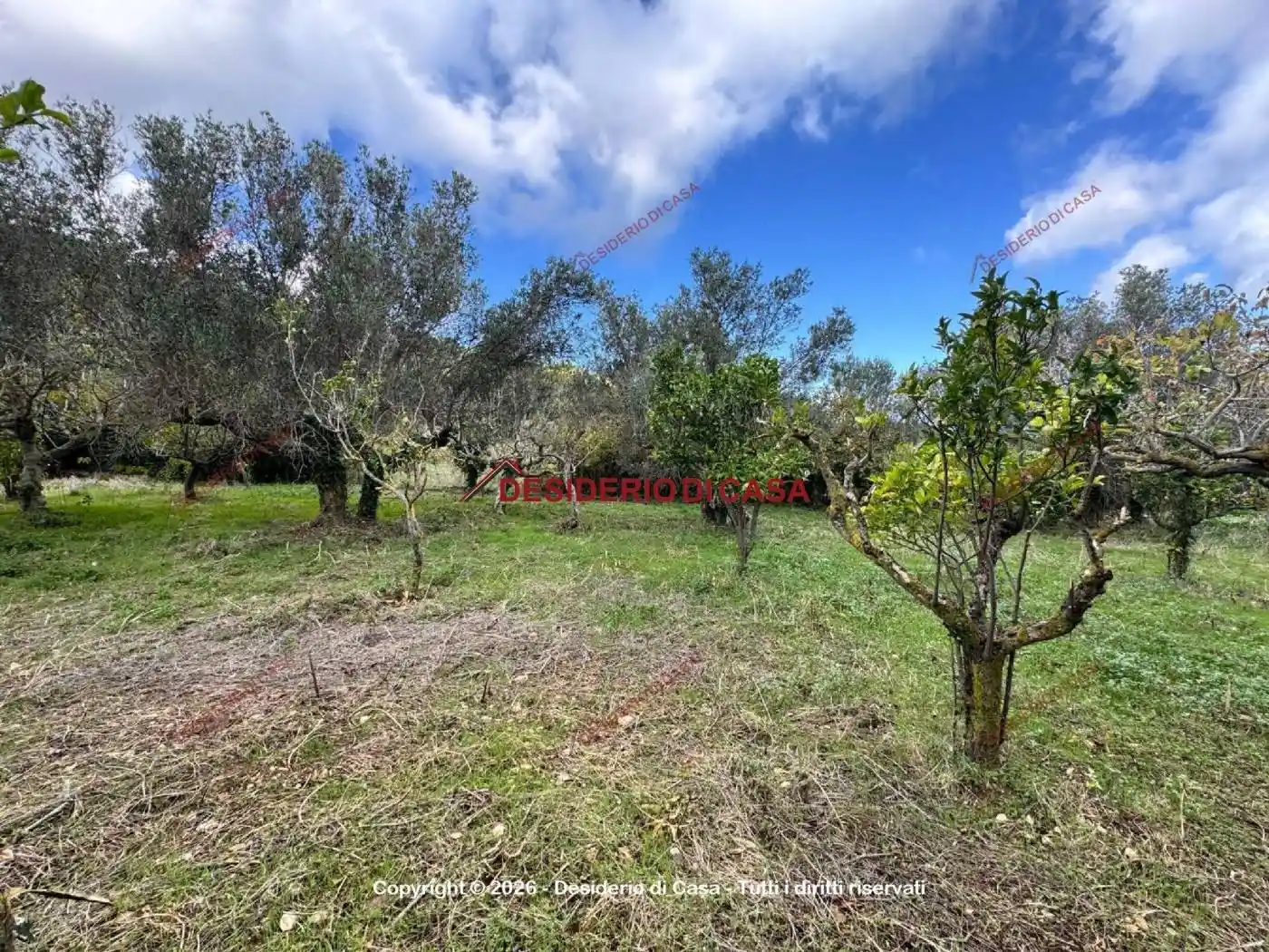 Villa in vendita a Valderice