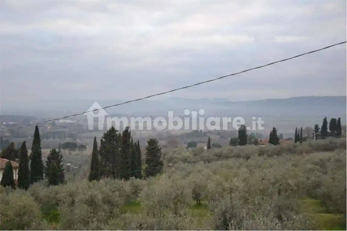 Appartamento in affitto a Lucignano