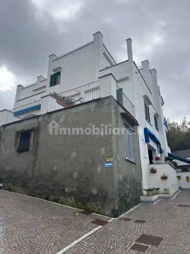 Palazzo - Edificio - foto 5