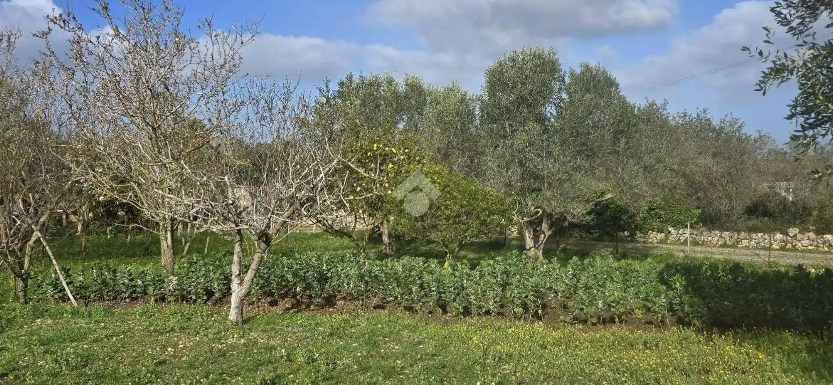 Villa in vendita a Sassari