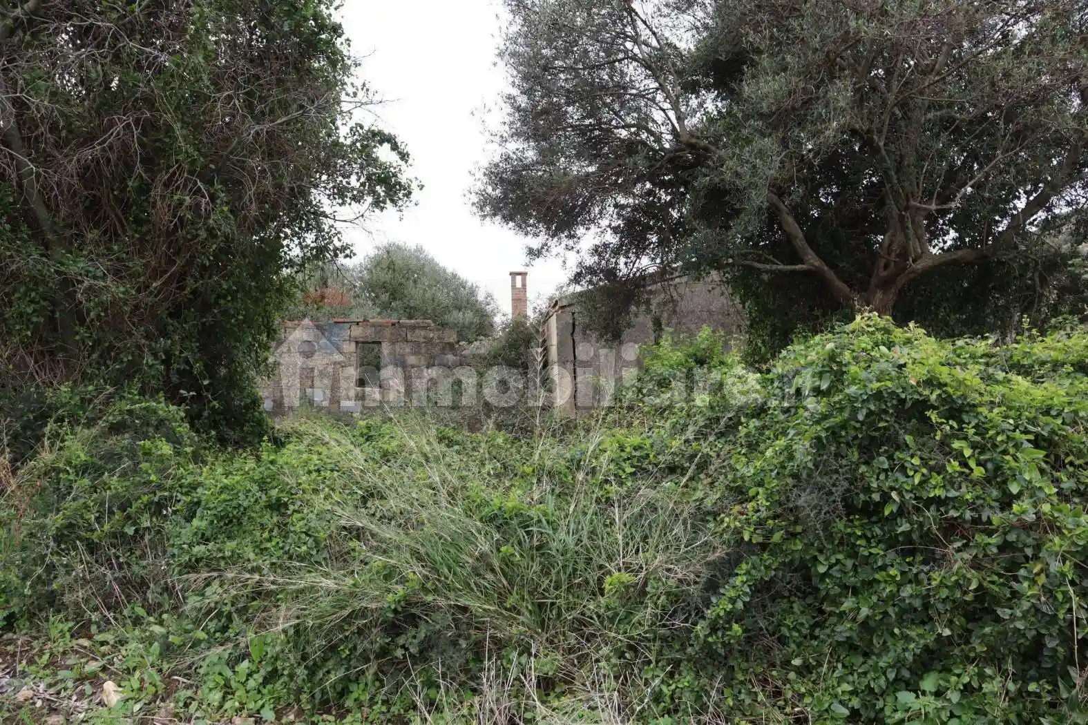 Rustico - Casale in vendita a Ragusa