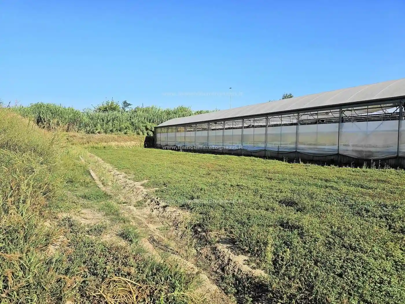 Palazzo - Edificio - foto 5