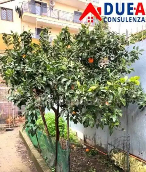Appartamento in vendita a Marano di Napoli