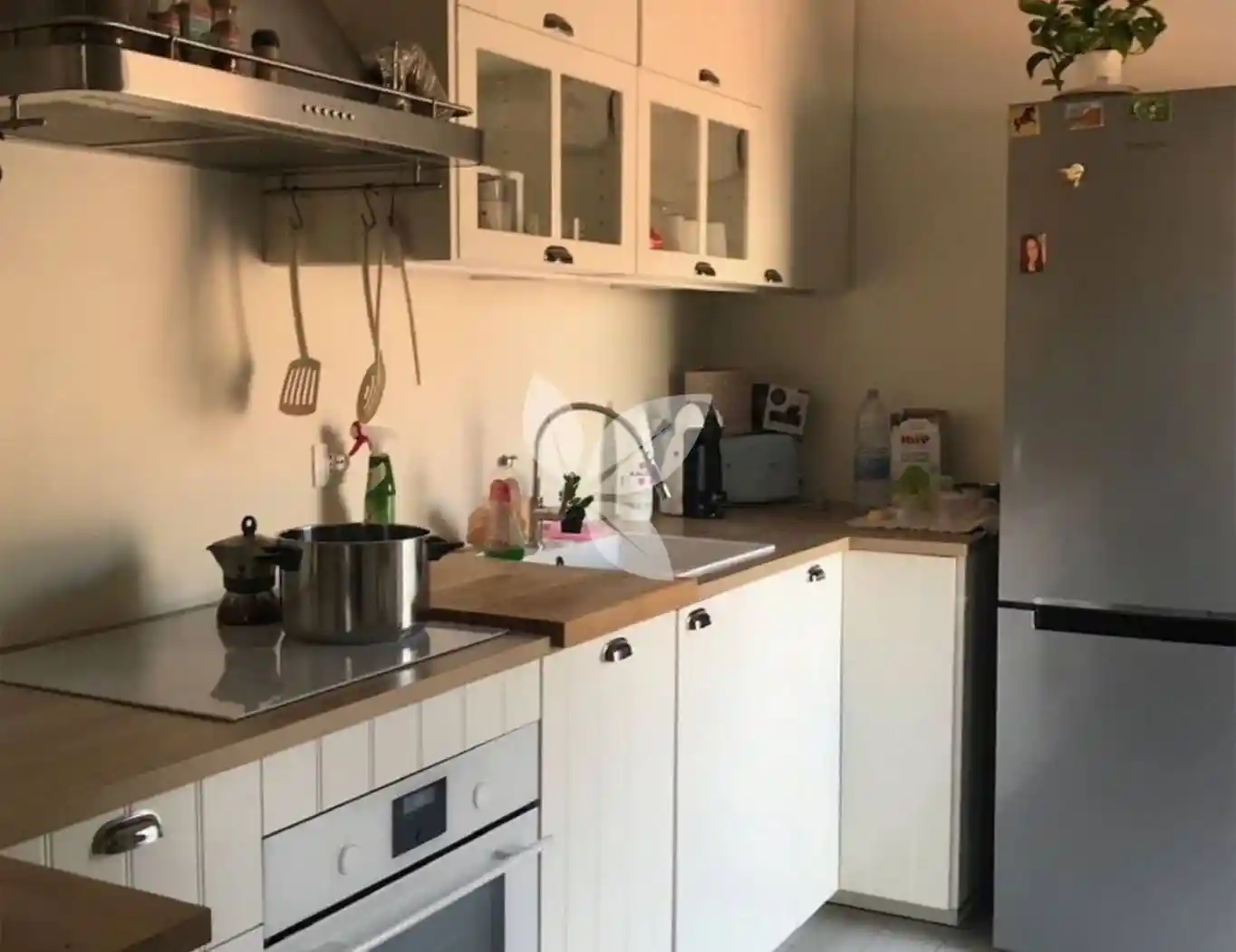 Appartamento in affitto a Bologna