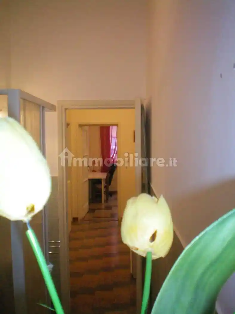 Appartamento in affitto a Firenze