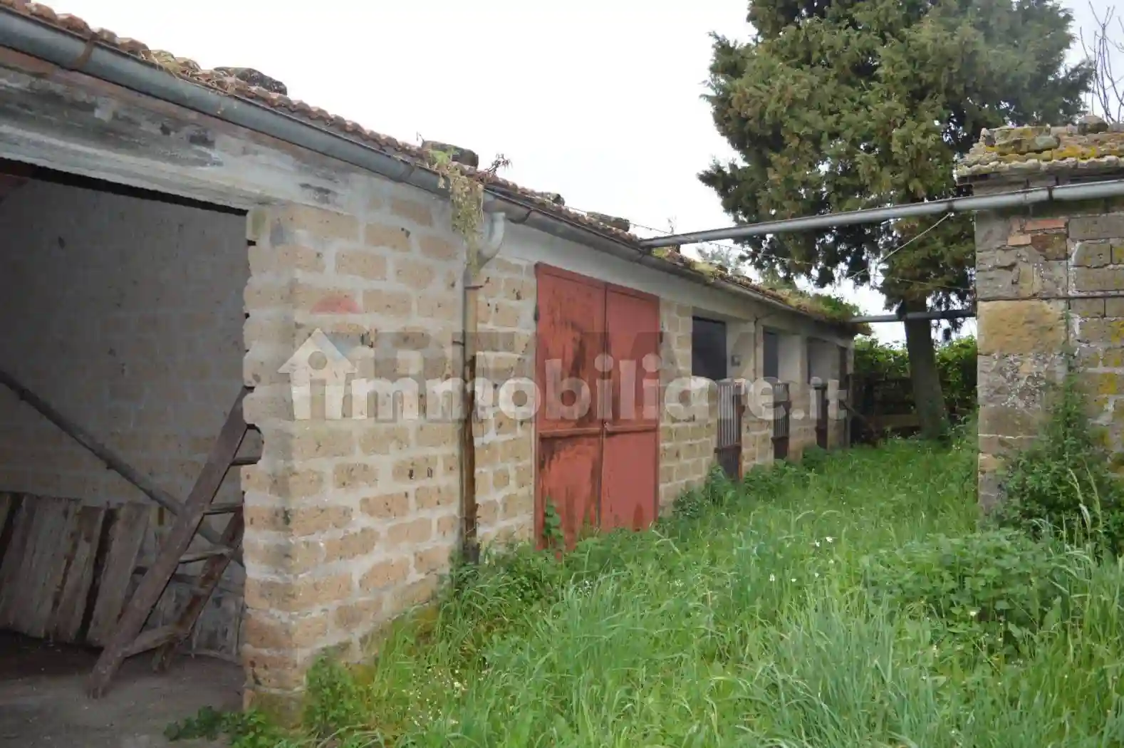 Rustico - Casale - foto 5