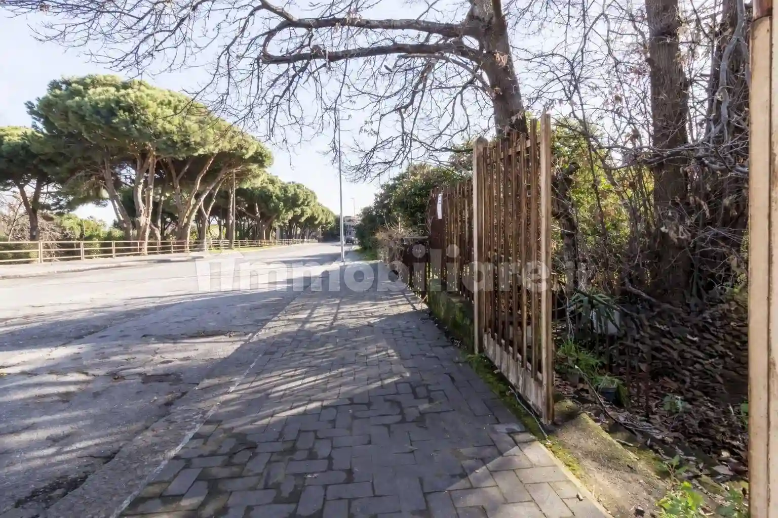 Palazzo - Edificio - foto 4