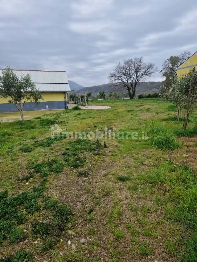 Rustico - Casale in vendita a Altavilla Silentina