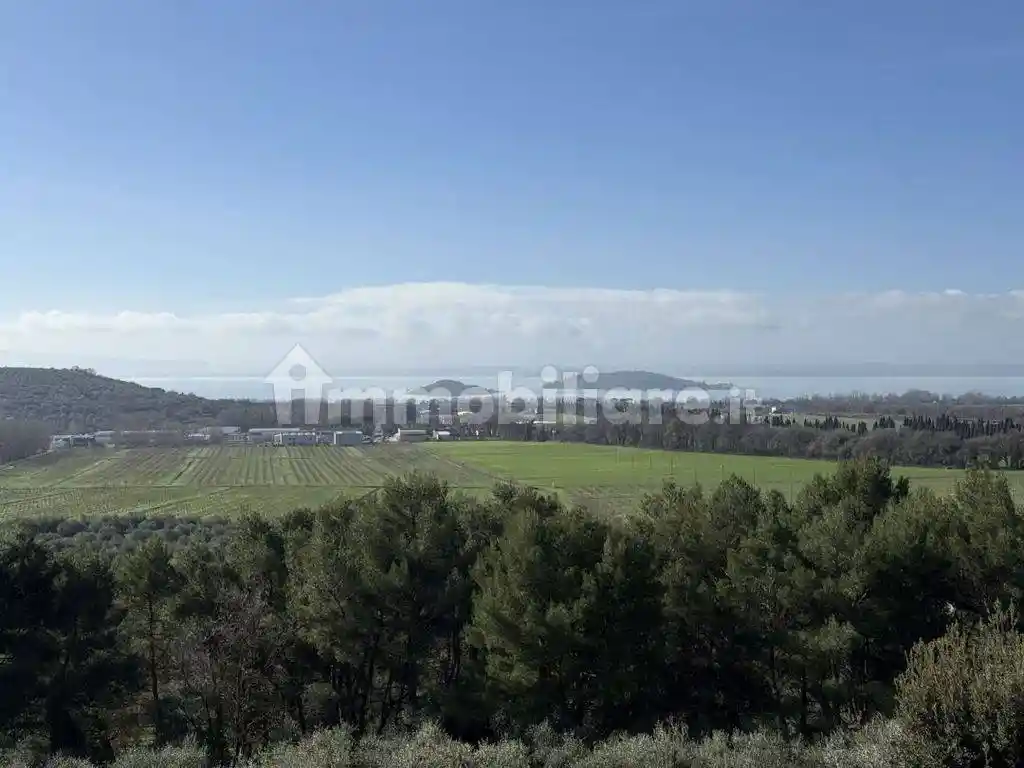 Rustico - Casale in vendita a Passignano sul Trasimeno