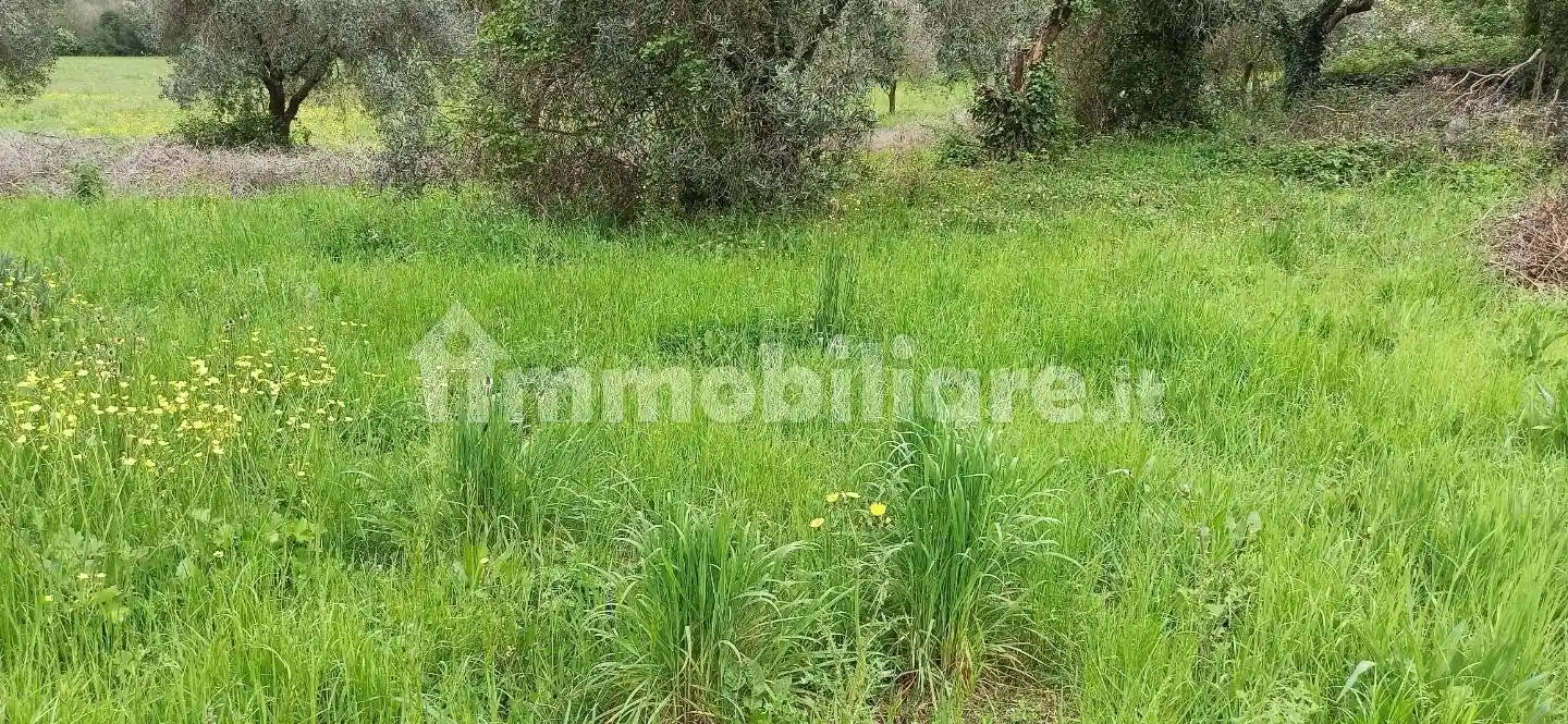 Rustico - Casale in vendita a Lucca