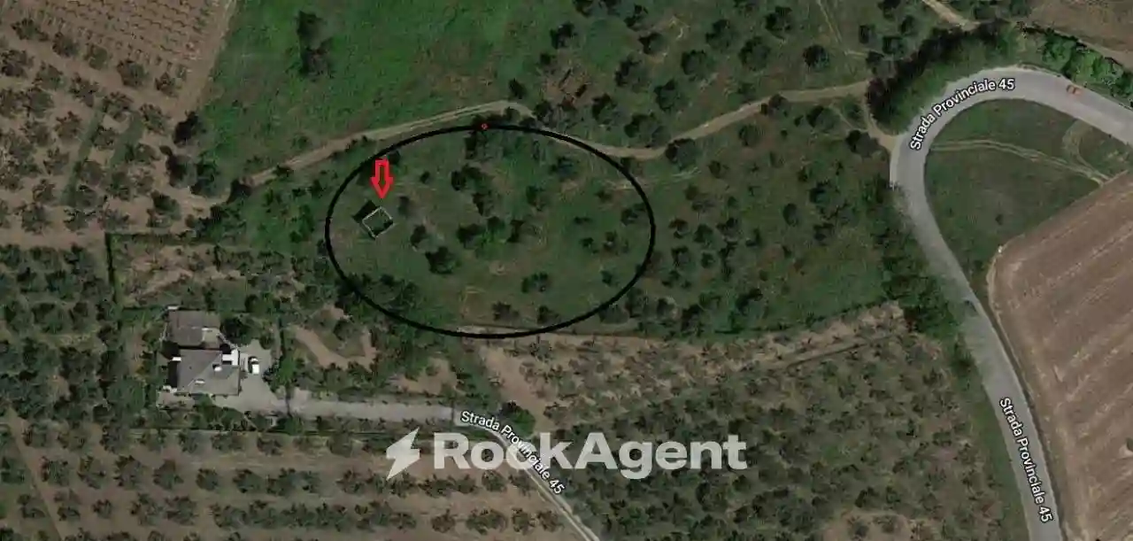 Rustico - Casale - foto 3