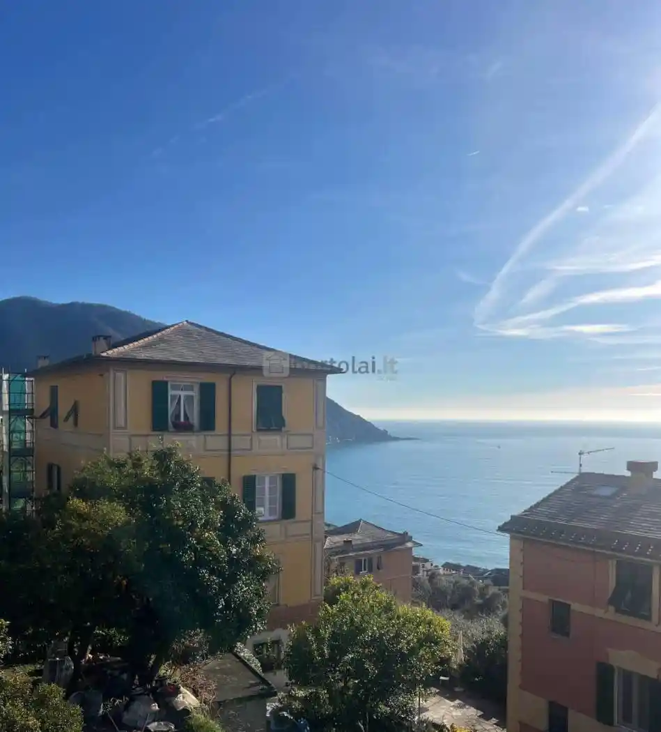 Appartamento in affitto a Camogli