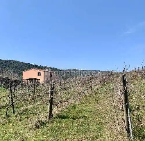 Villa in vendita a Magliano in Toscana
