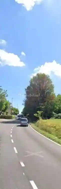 Palazzo - Stabile - foto 3