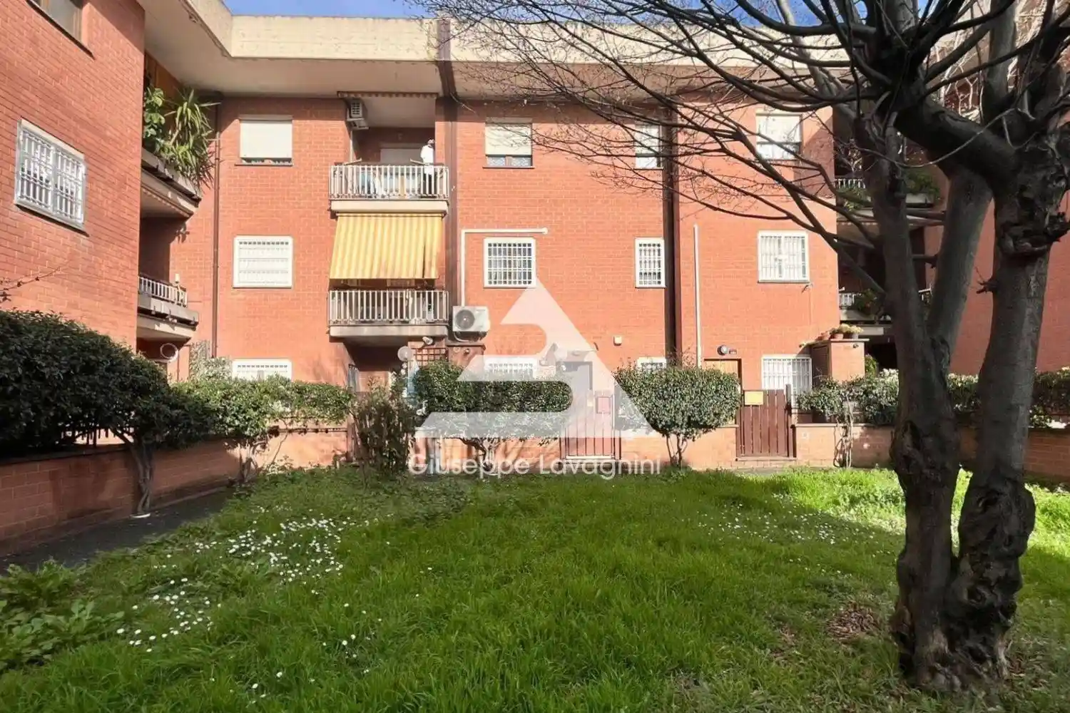 Appartamento in affitto a Albano Laziale