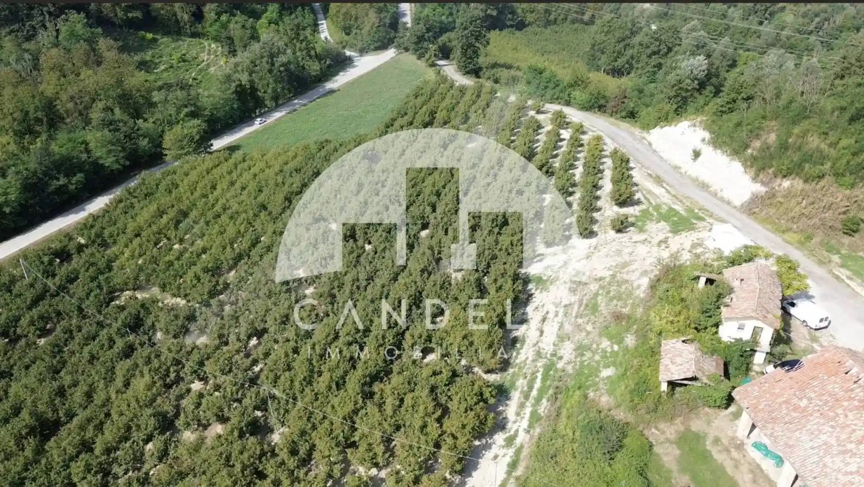 Rustico - Casale in vendita a Carrù