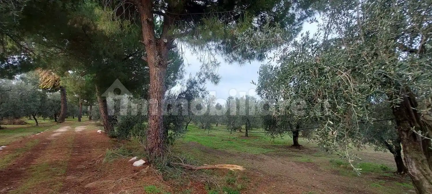 Rustico - Casale in vendita a Molfetta