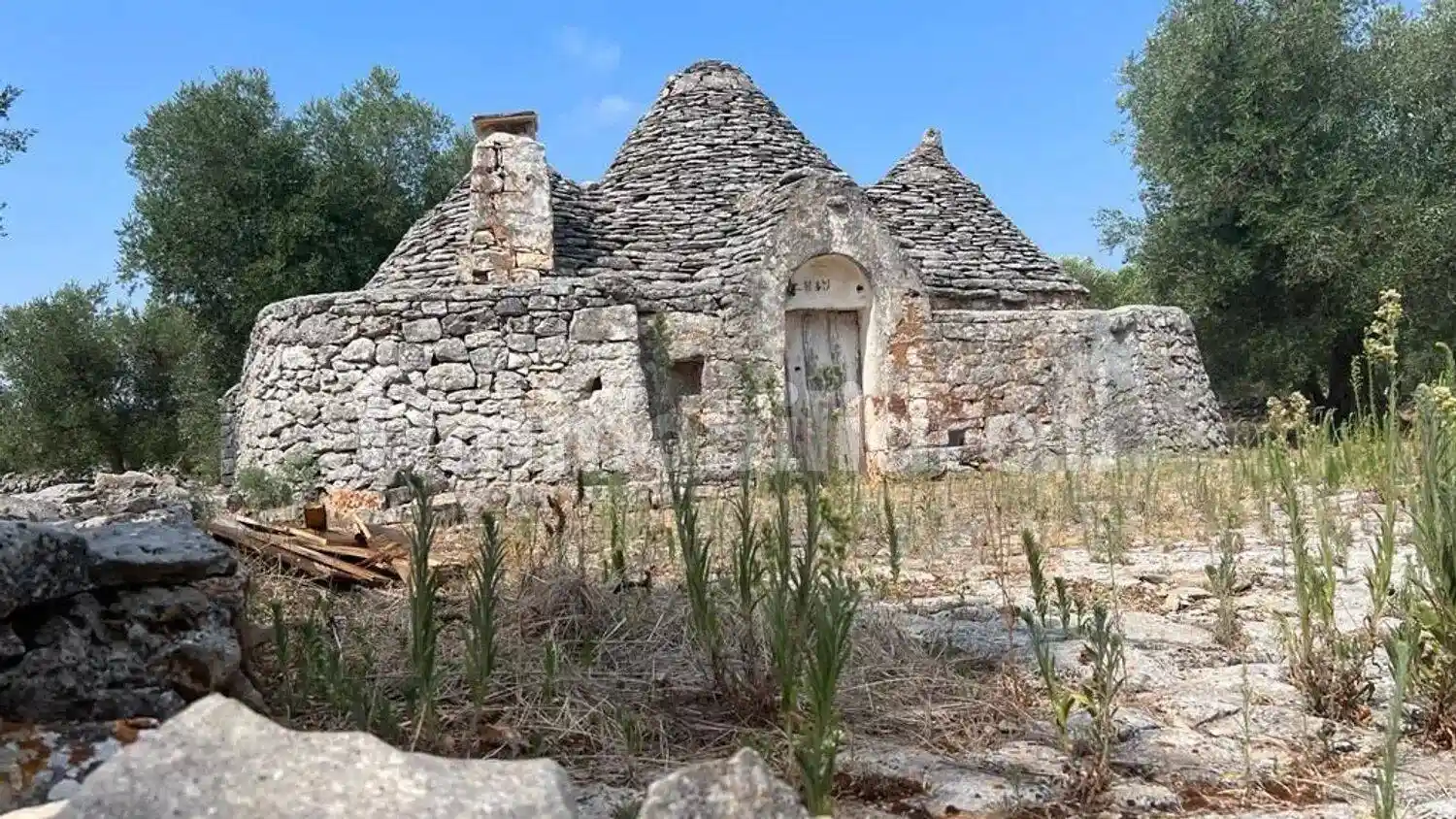 Rustico - Casale in vendita a Martina Franca