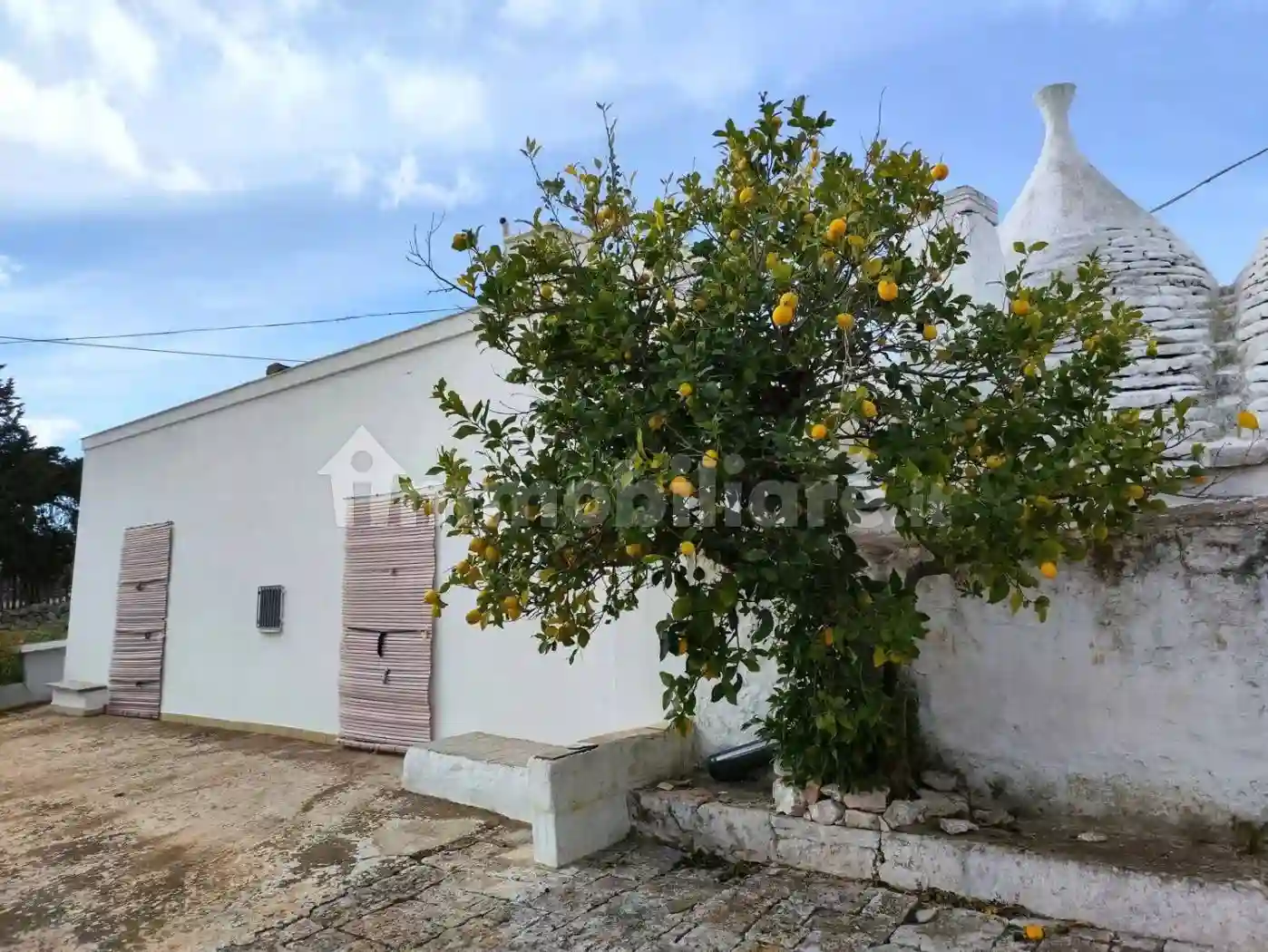 Rustico - Casale - foto 5