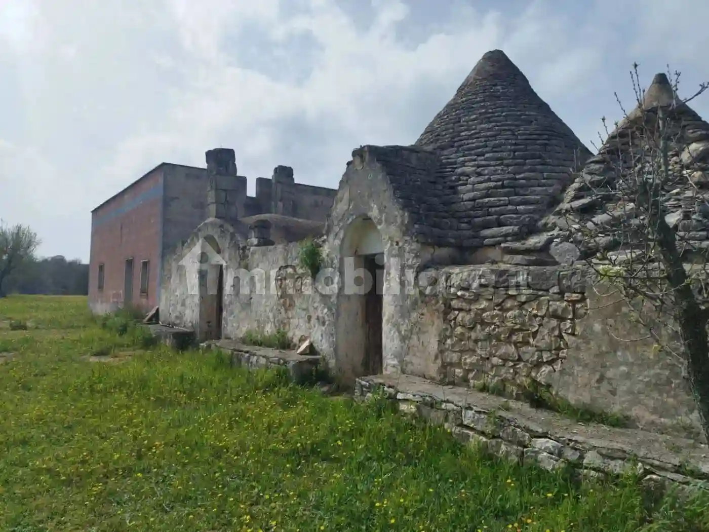 Rustico - Casale - foto 5