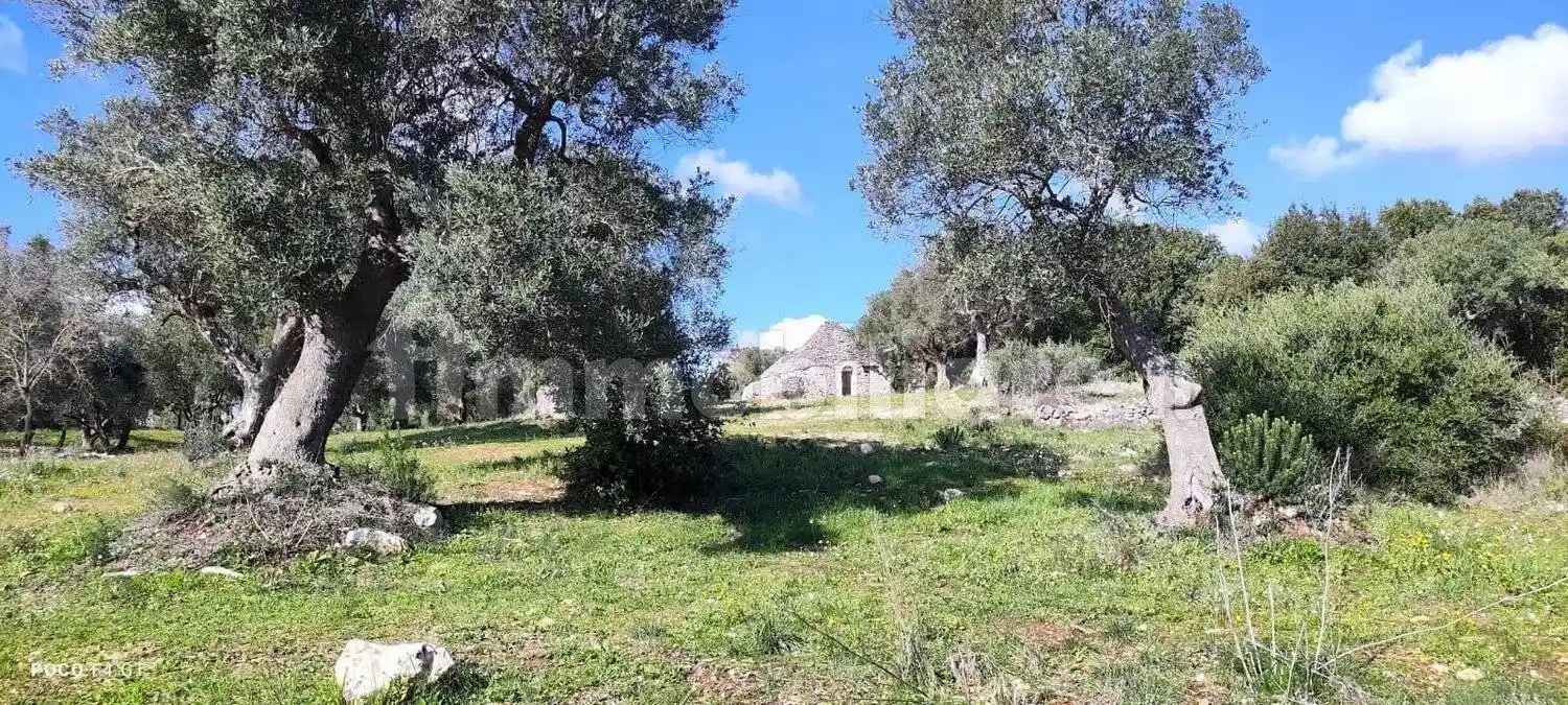 Rustico - Casale in vendita a Ceglie Messapica