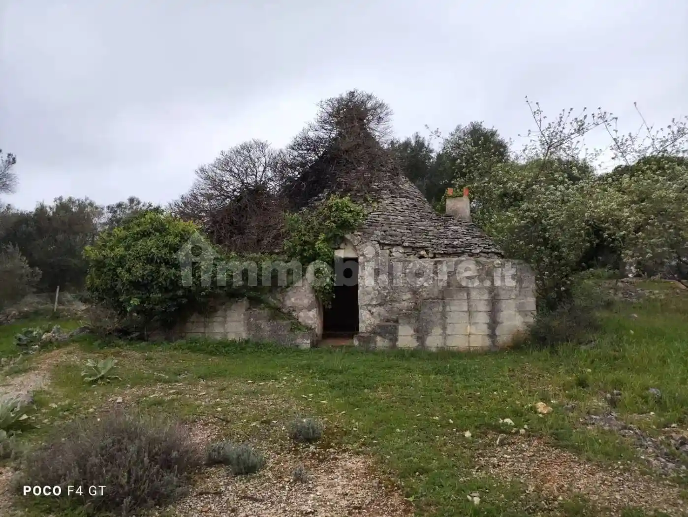 Rustico - Casale in vendita a Ceglie Messapica
