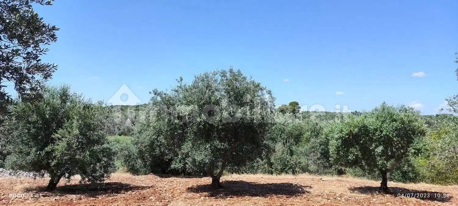 Rustico - Casale in vendita a Ceglie Messapica