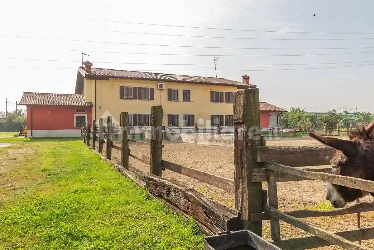 Rustico - Casale - foto 5