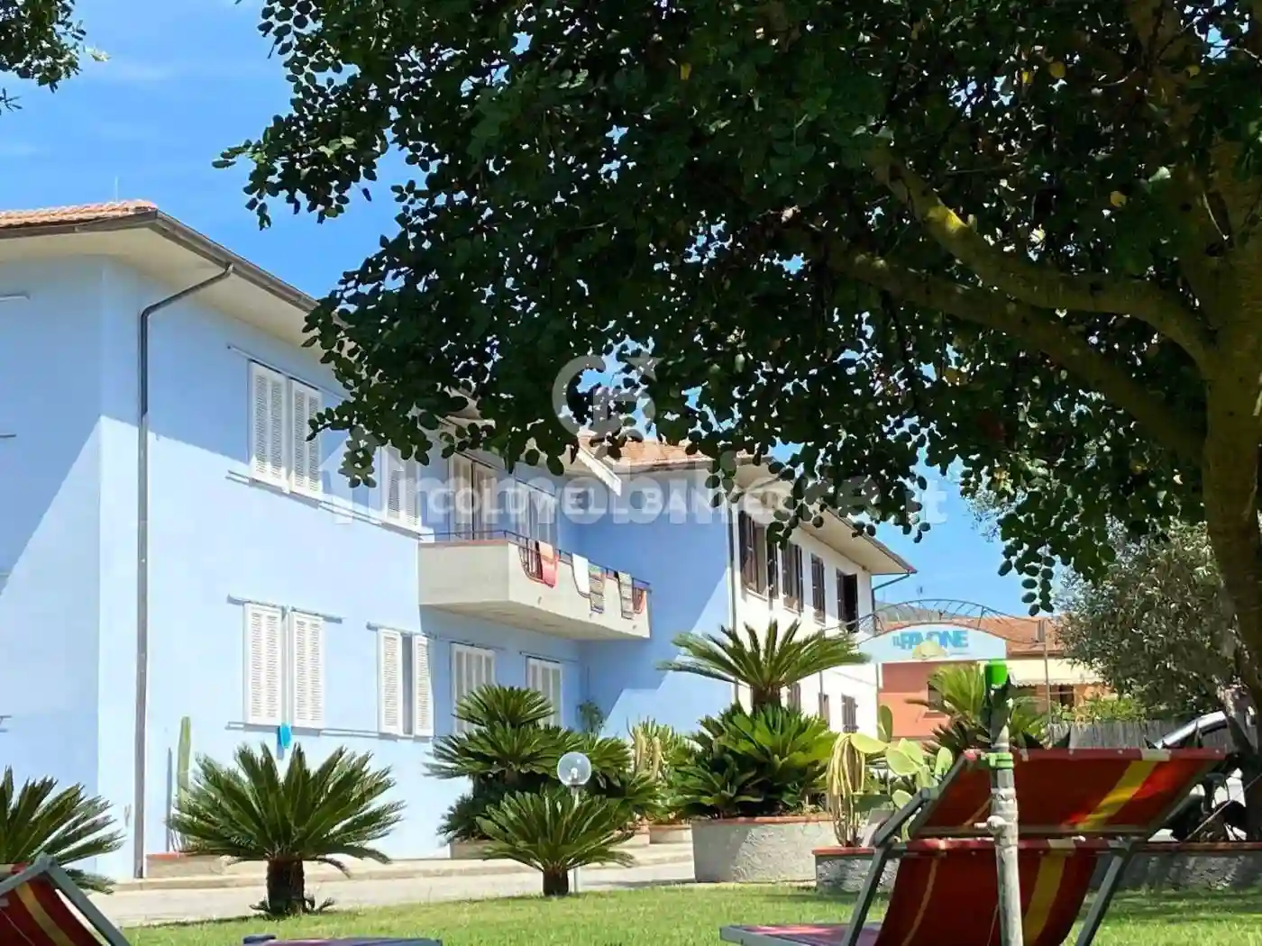 Palazzo - Edificio - foto 3