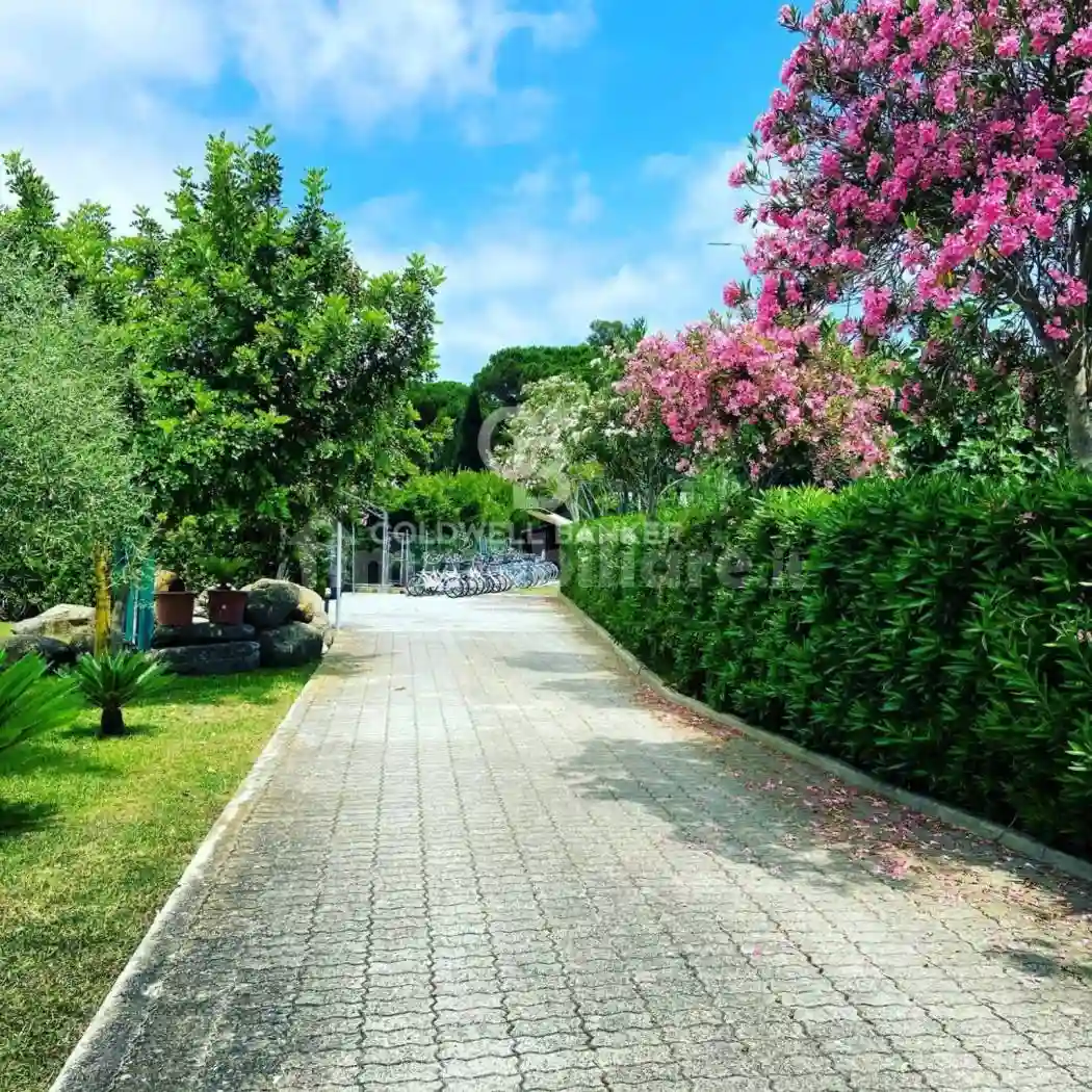 Palazzo - Edificio - foto 4