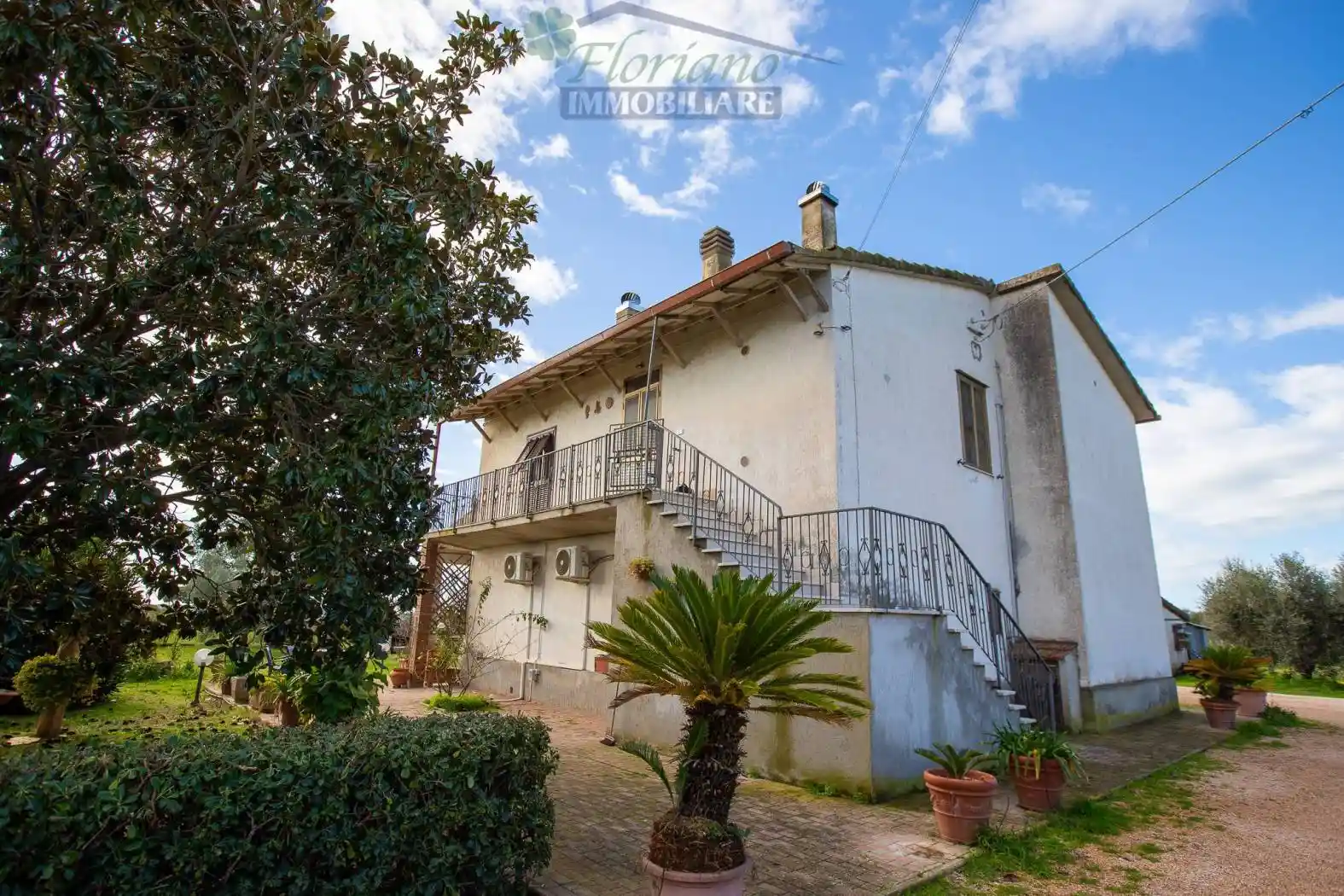 Appartamento in affitto a Capalbio