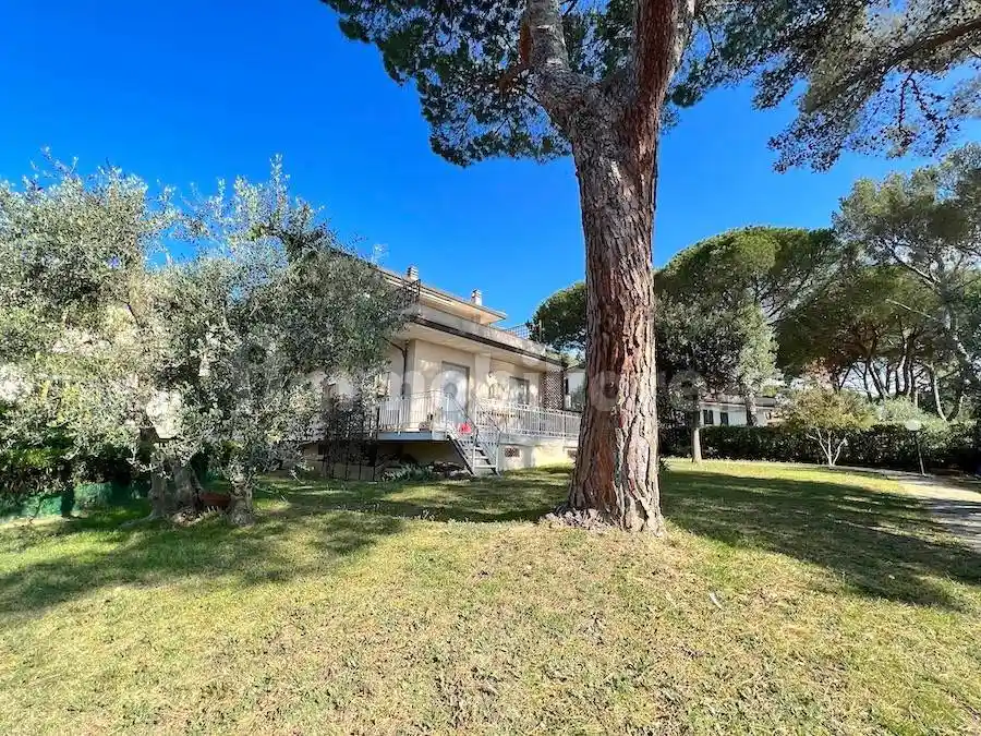 Appartamento in affitto a Rosignano Marittimo