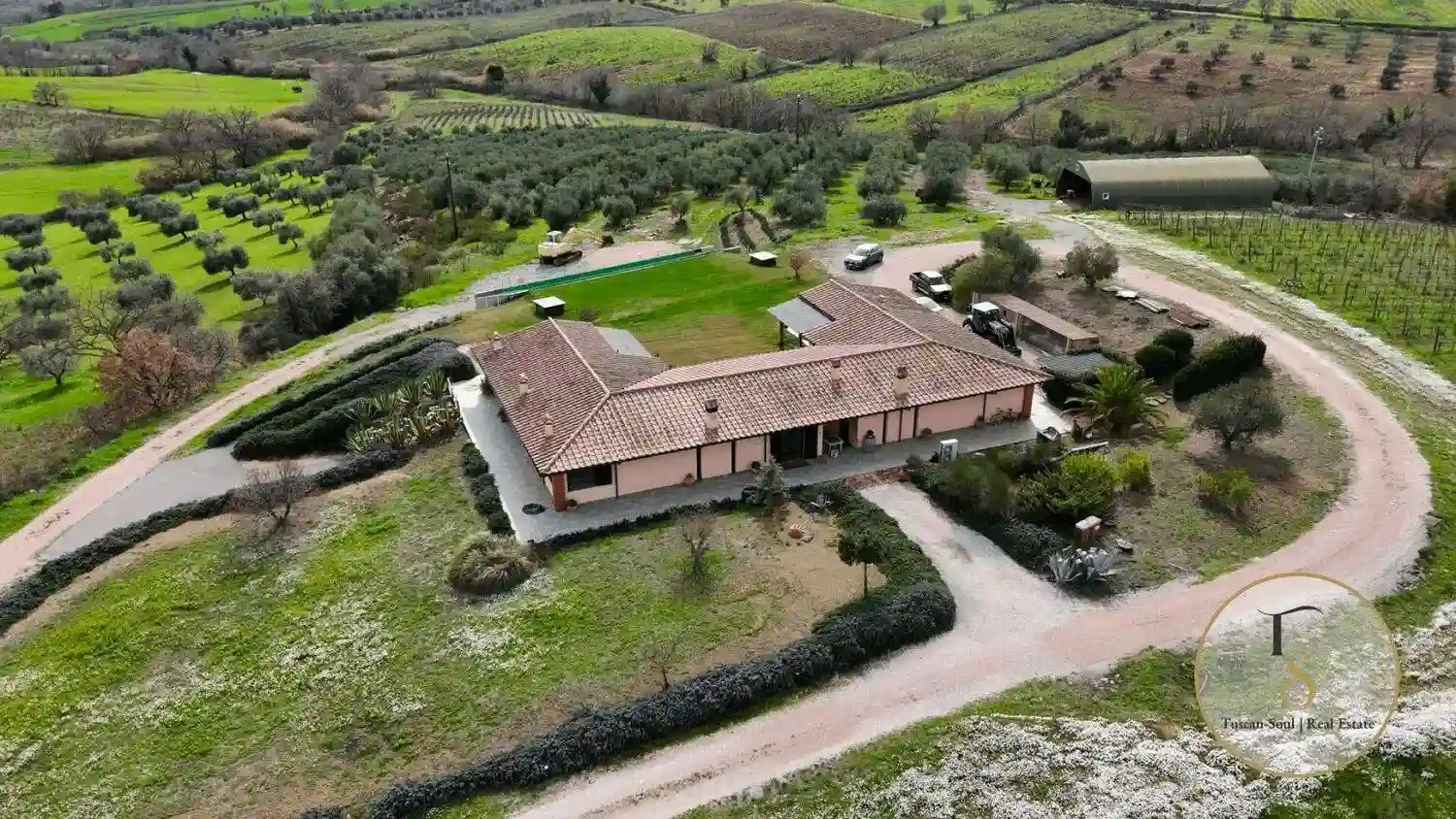 Villa - foto 3